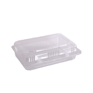 Contenedor Bisagra 22 x 12 x 7 cm.