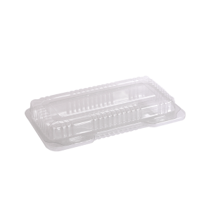Contenedor Bisagra 24 x 16 x 7 cm.